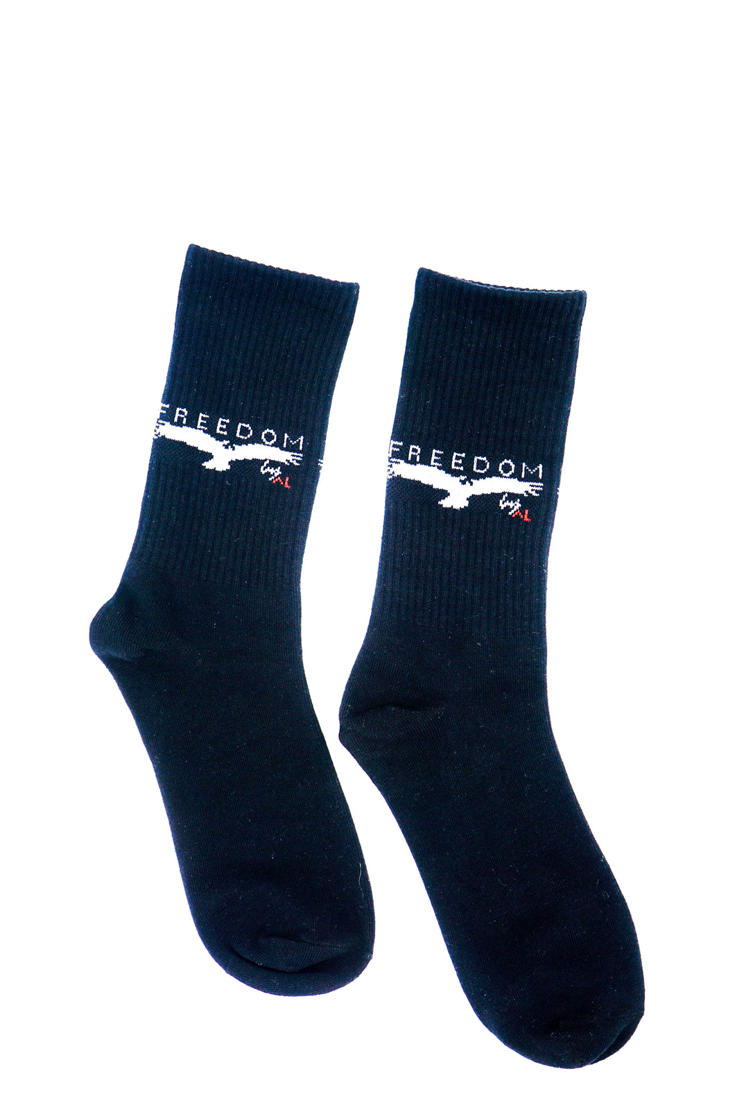 EAGLE 1